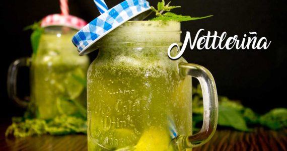 Nettleriña-gewonnen-aus-einer-der-heilkräftigsten-Pflanzen-unserer-Erde