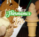 Thermomix Eis